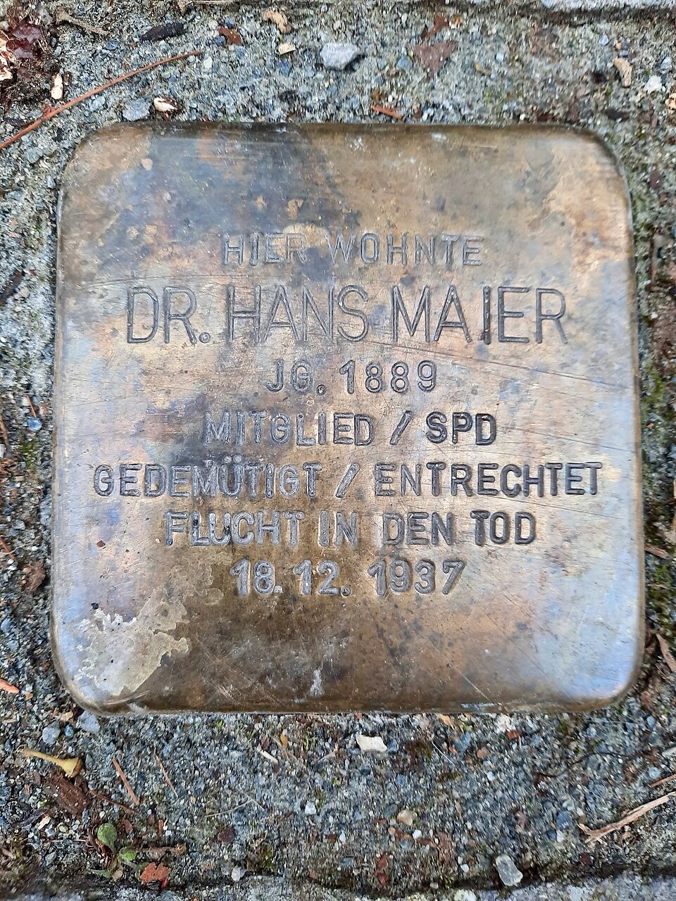 Stolperstein Dresden